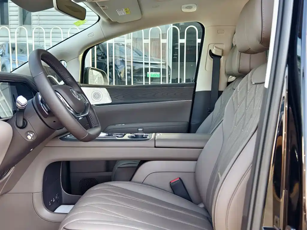 Denza Denza D9 — фото 6