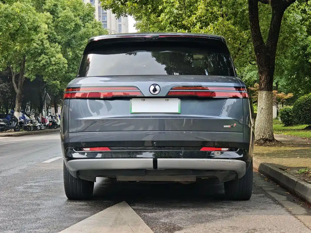 Denza Denza N9 — фото 19