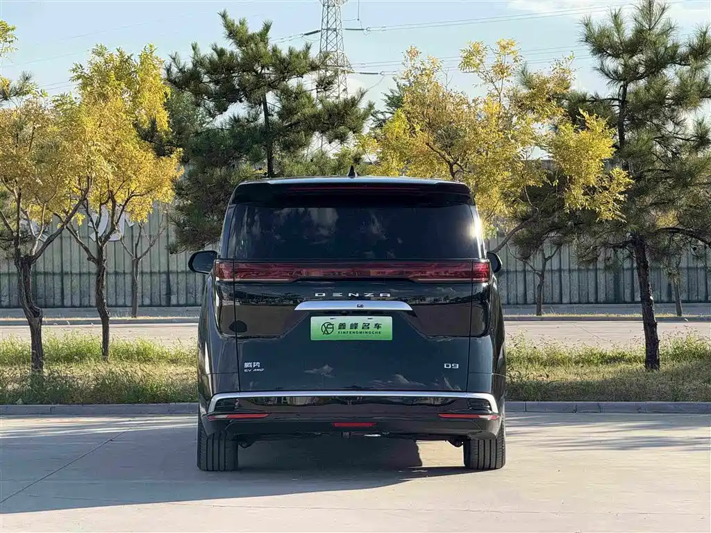 Denza Denza D9 — фото 36