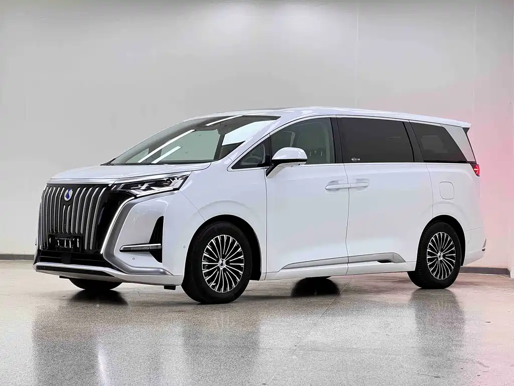 Denza Denza D9