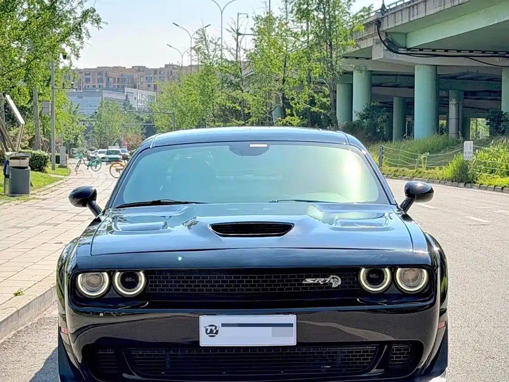 Dodge  — фото 2