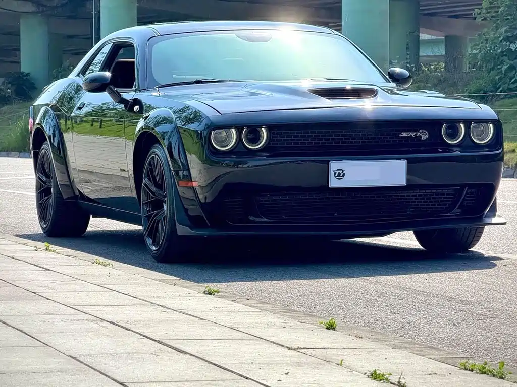 Dodge  — фото 4