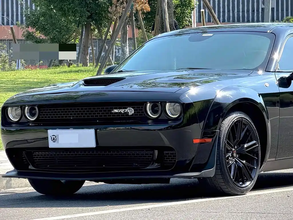 Dodge  — фото 5
