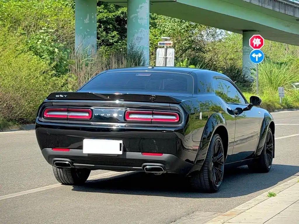 Dodge  — фото 9