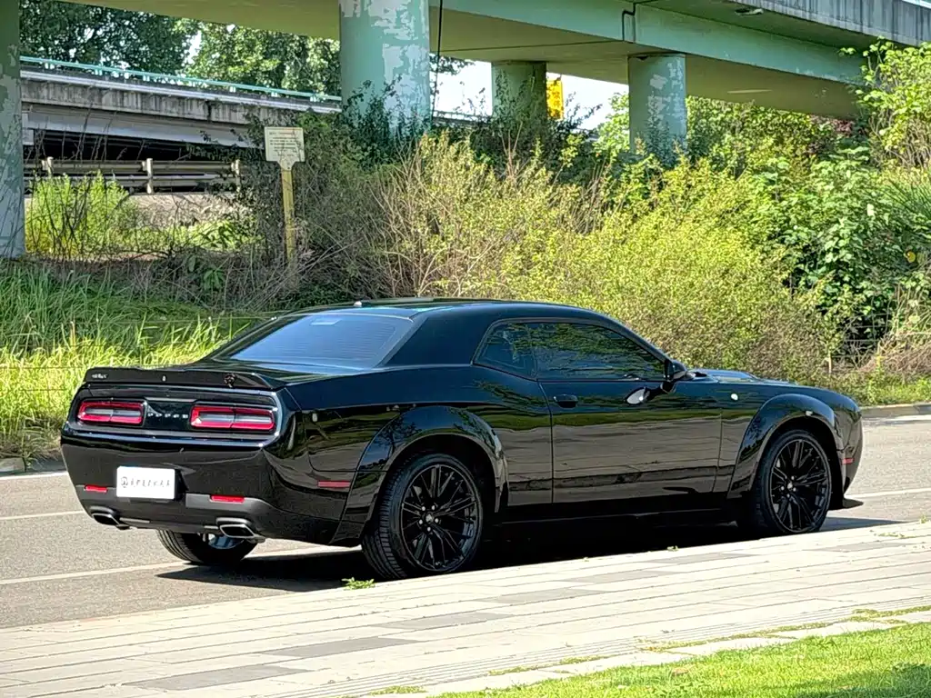 Dodge  — фото 10