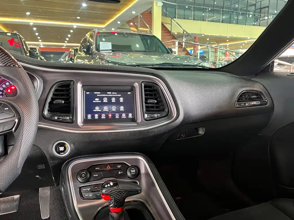 Dodge  — фото 10