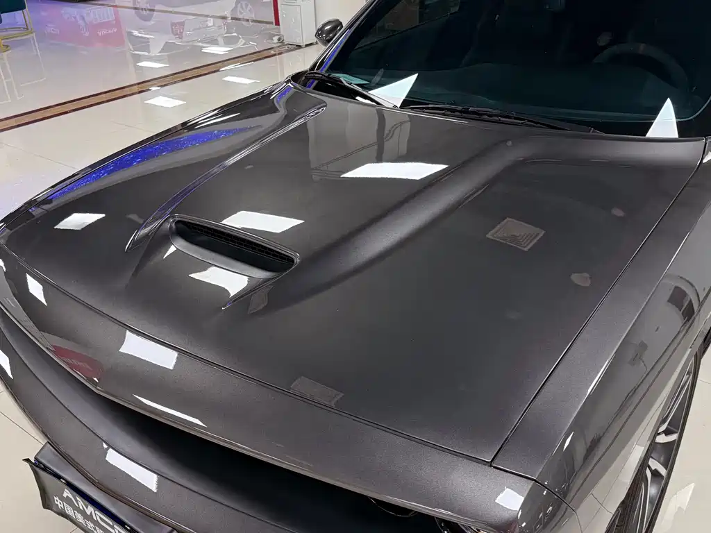 Dodge  — фото 21