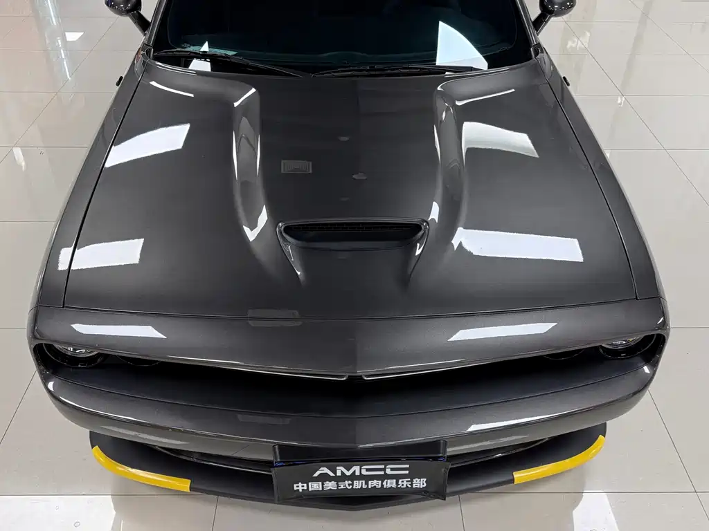 Dodge  — фото 25