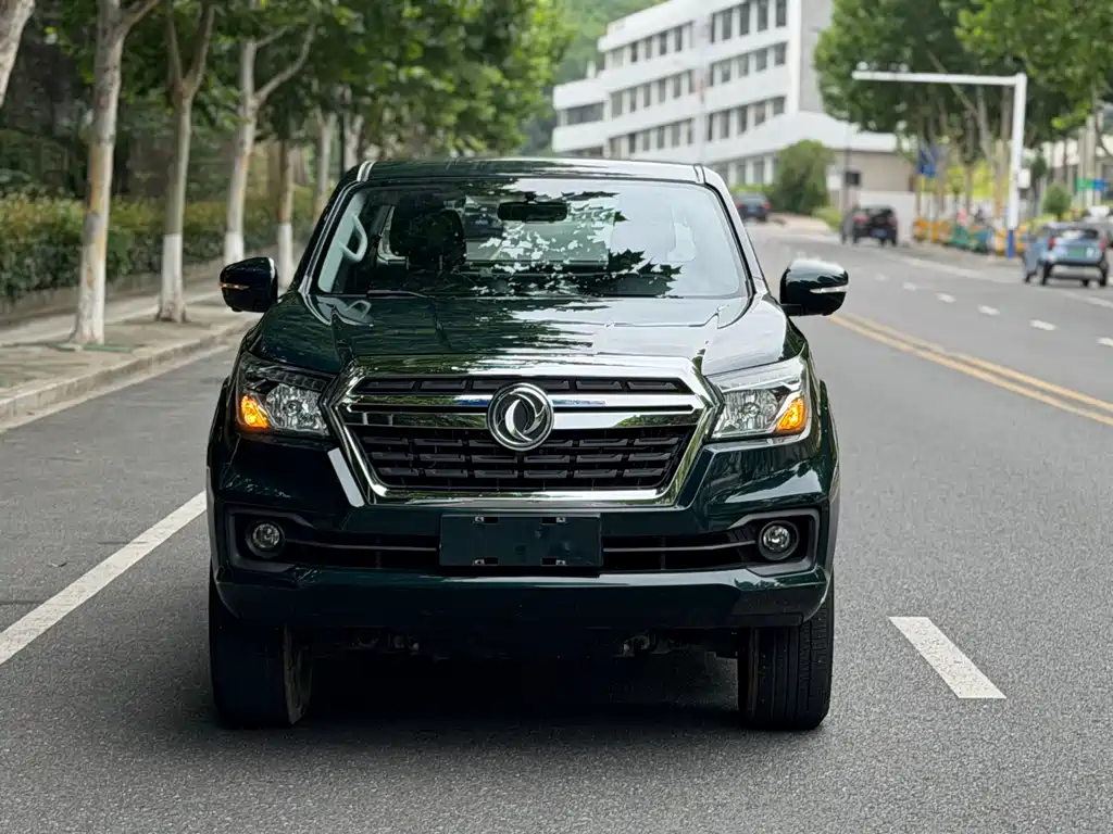 Dongfeng Rich 6 Pro — фото 2