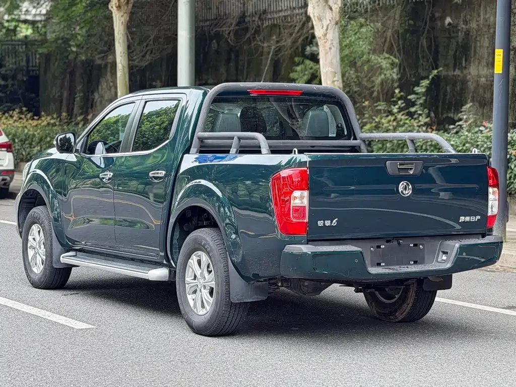 Dongfeng Rich 6 Pro — фото 16