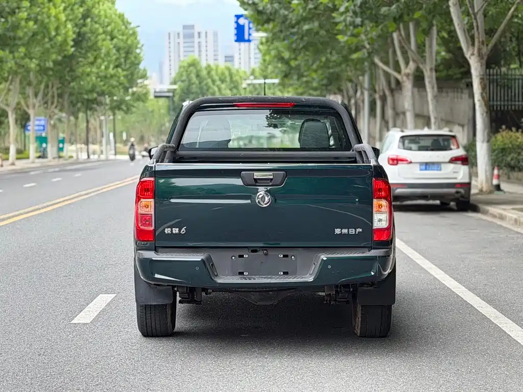 Dongfeng Rich 6 Pro — фото 17