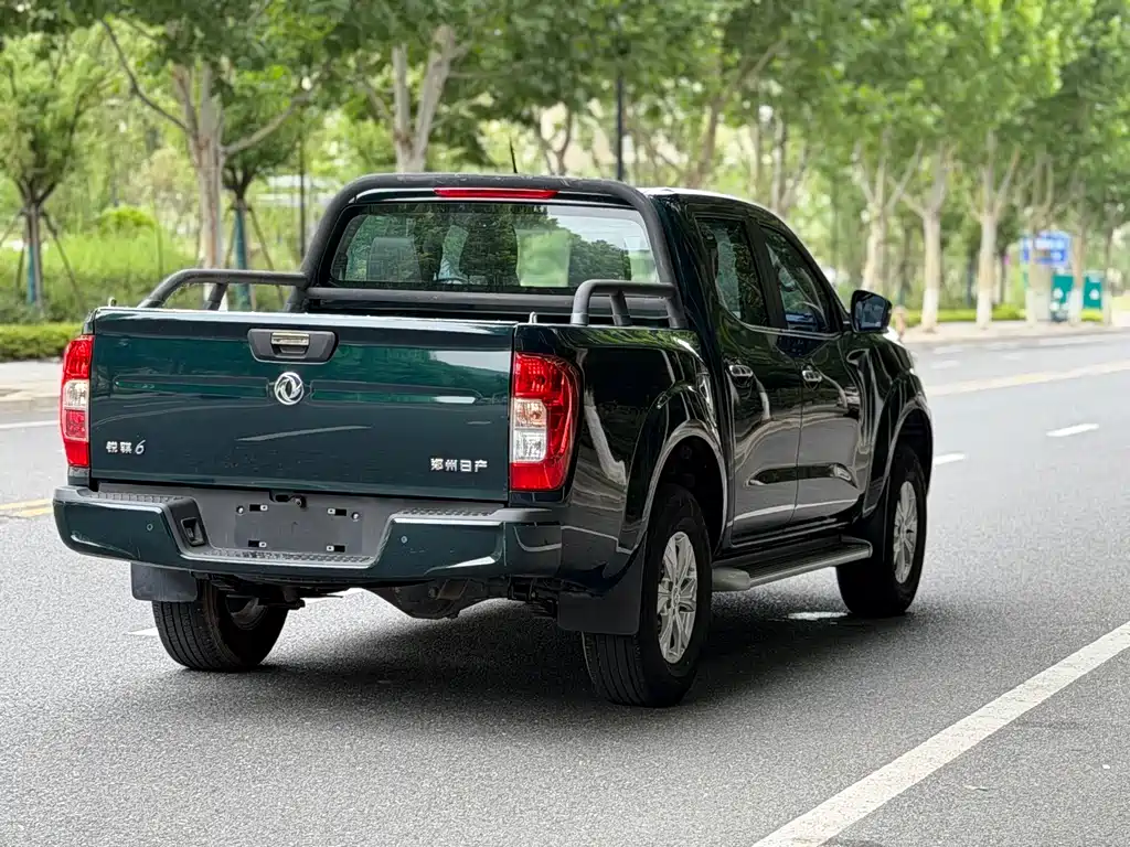 Dongfeng Rich 6 Pro — фото 18