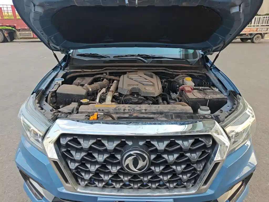 Dongfeng Rich 6 Pro — фото 20