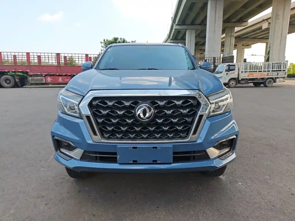 Dongfeng Rich 6 Pro — фото 3