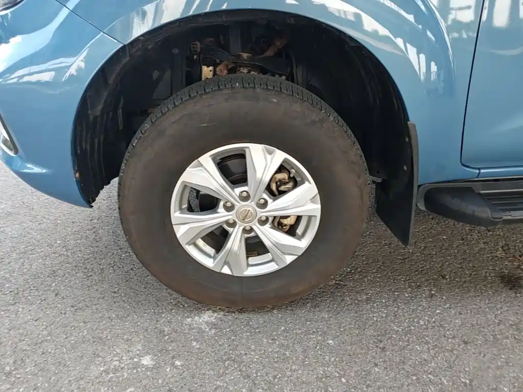 Dongfeng Rich 6 Pro — фото 23