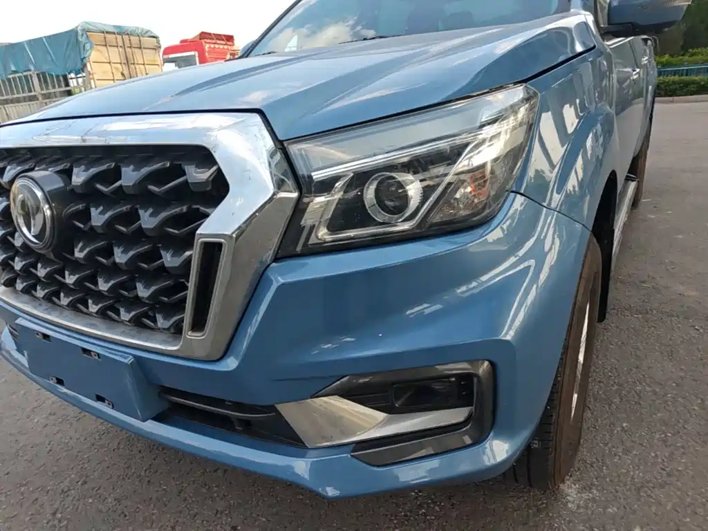 Dongfeng Rich 6 Pro — фото 24