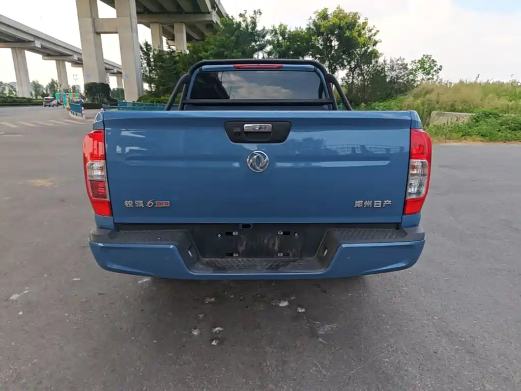 Dongfeng Rich 6 Pro — фото 6