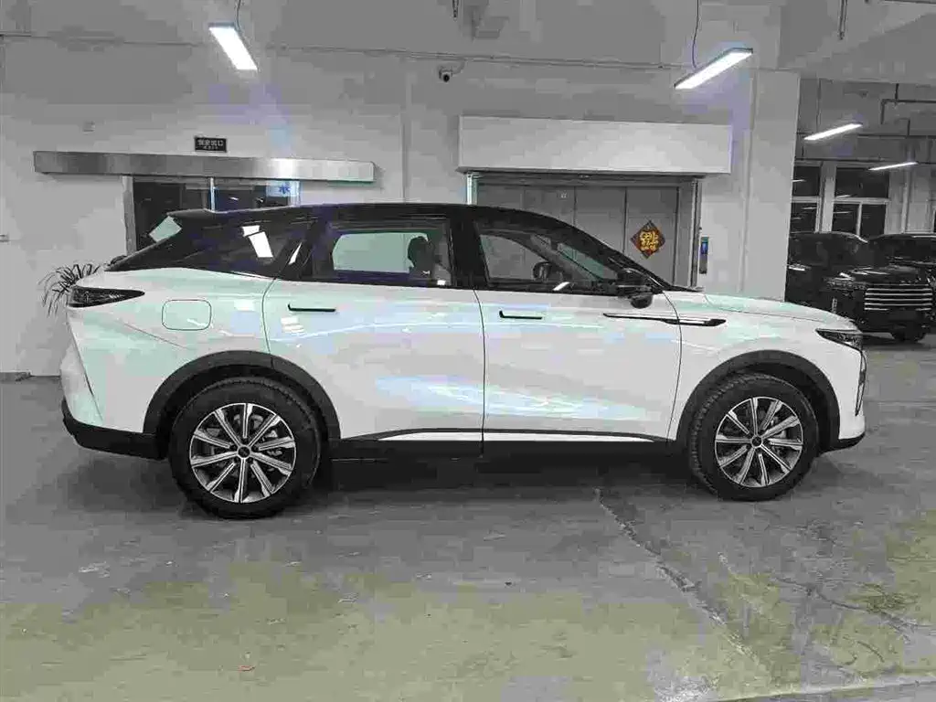 Exeed Yaoguang C-DM — фото 6