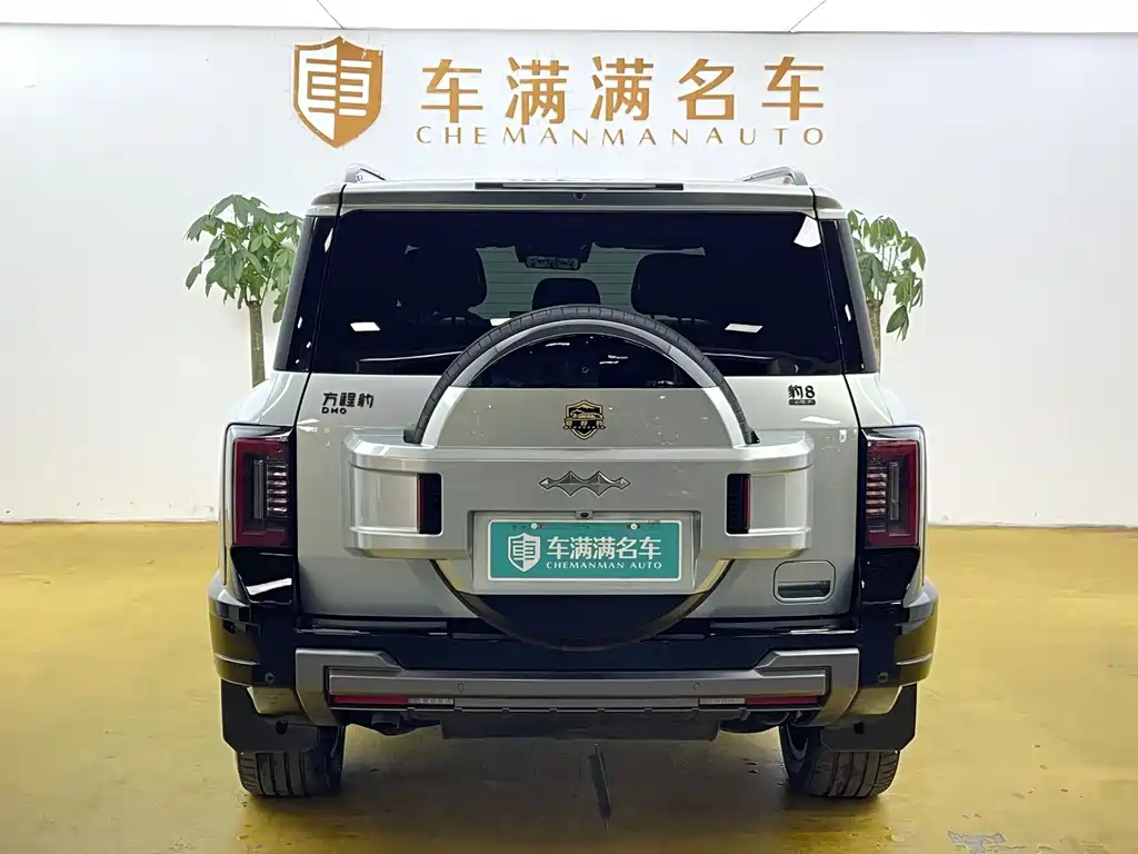 Fang Cheng Bao Leopard 8 — фото 11