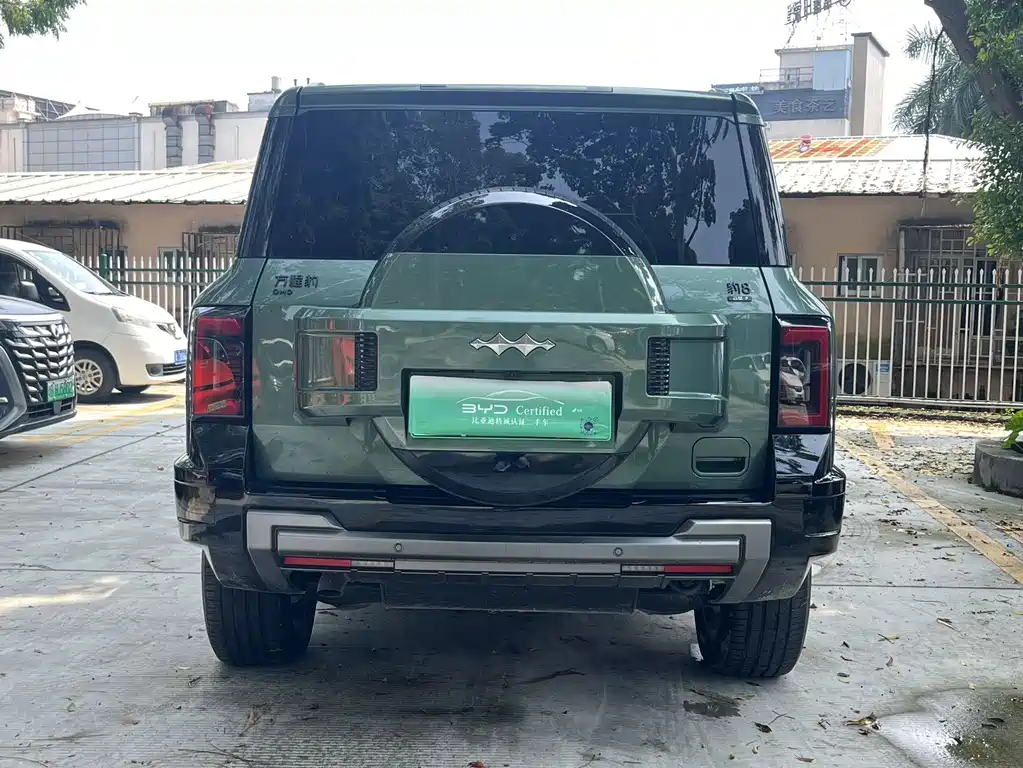 Fang Cheng Bao Leopard 8 — фото 10