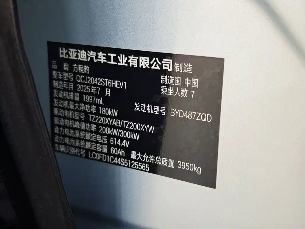 Fang Cheng Bao Leopard 8 — фото 16