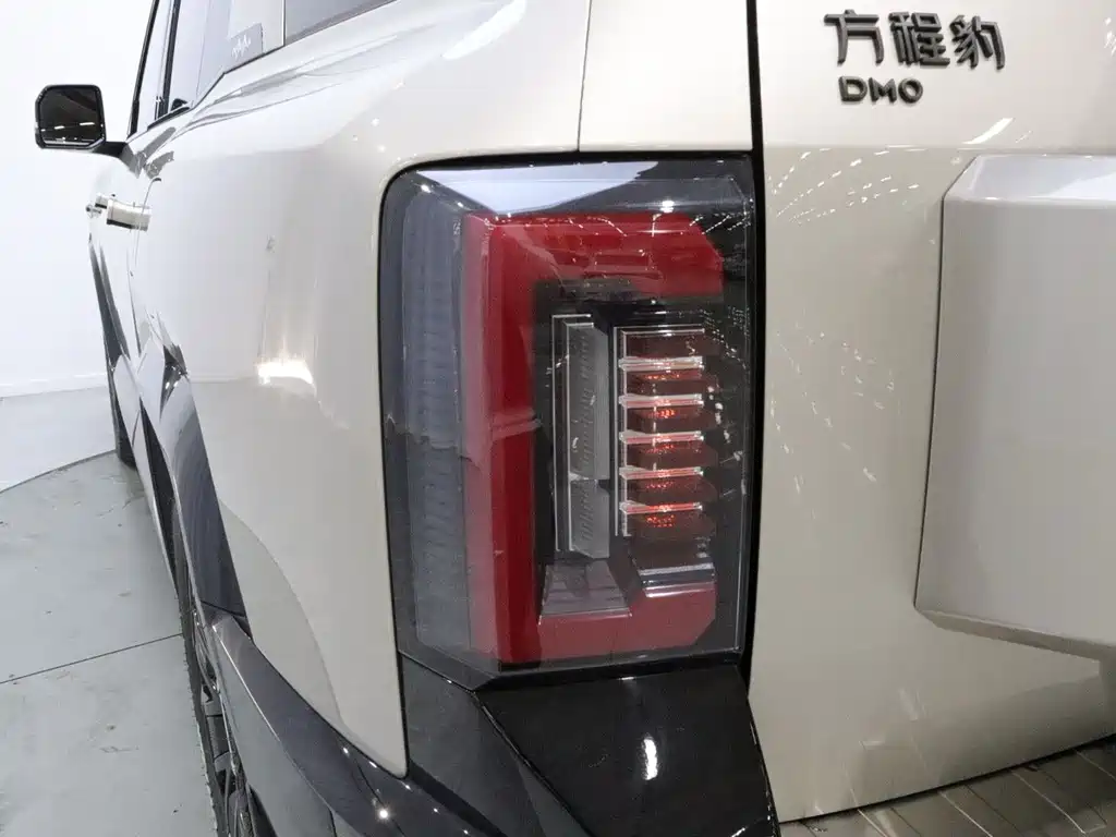 Fang Cheng Bao Leopard 8 — фото 19
