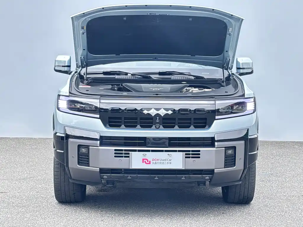 Fang Cheng Bao Leopard 8 — фото 10