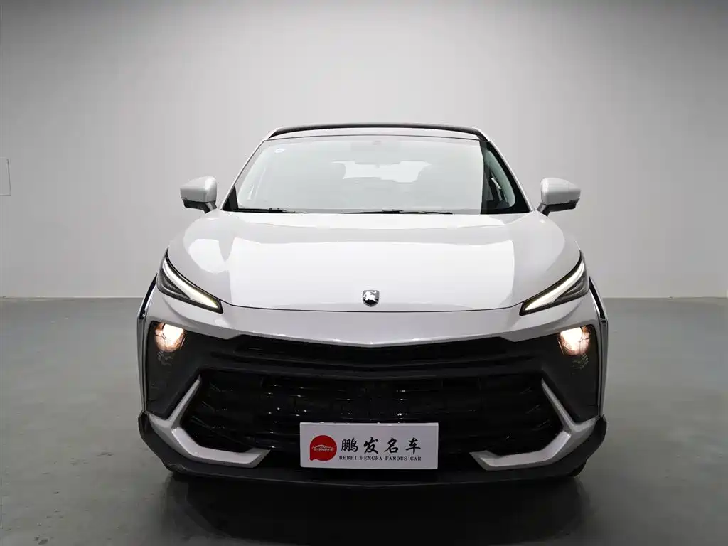 Fengxing Fengxing T5 EVO — фото 2