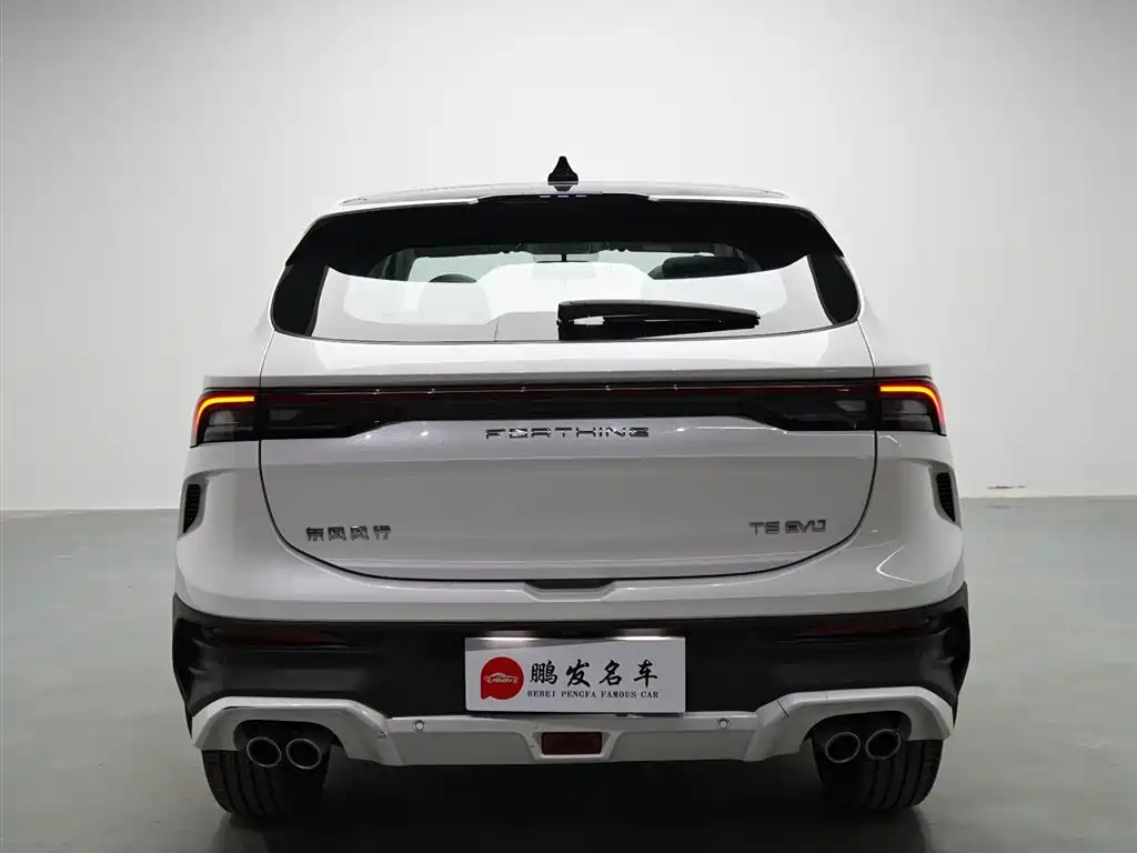 Fengxing Fengxing T5 EVO — фото 17
