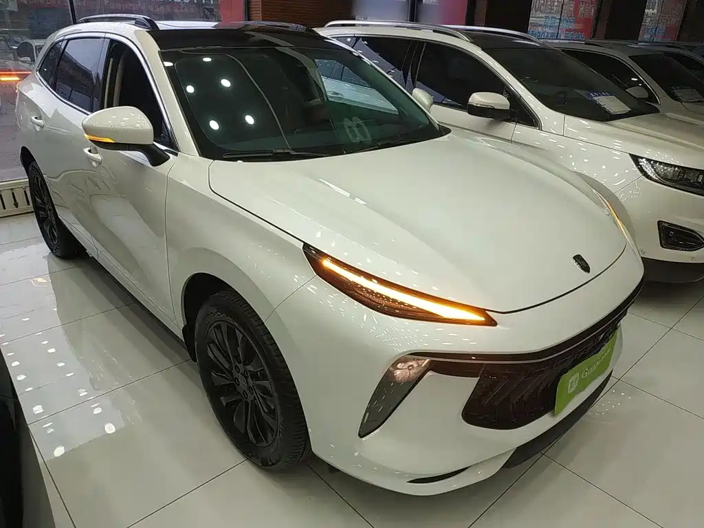Fengxing Fengxing T5 EVO — фото 22
