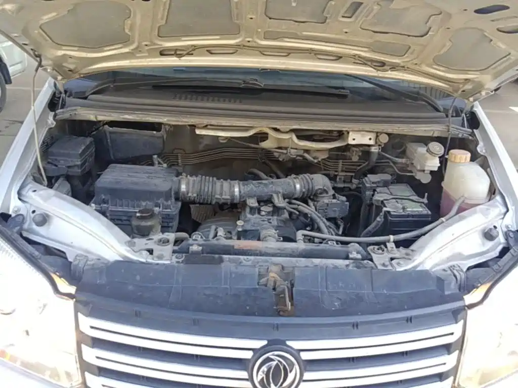 Fengxing Lingzhi — фото 20