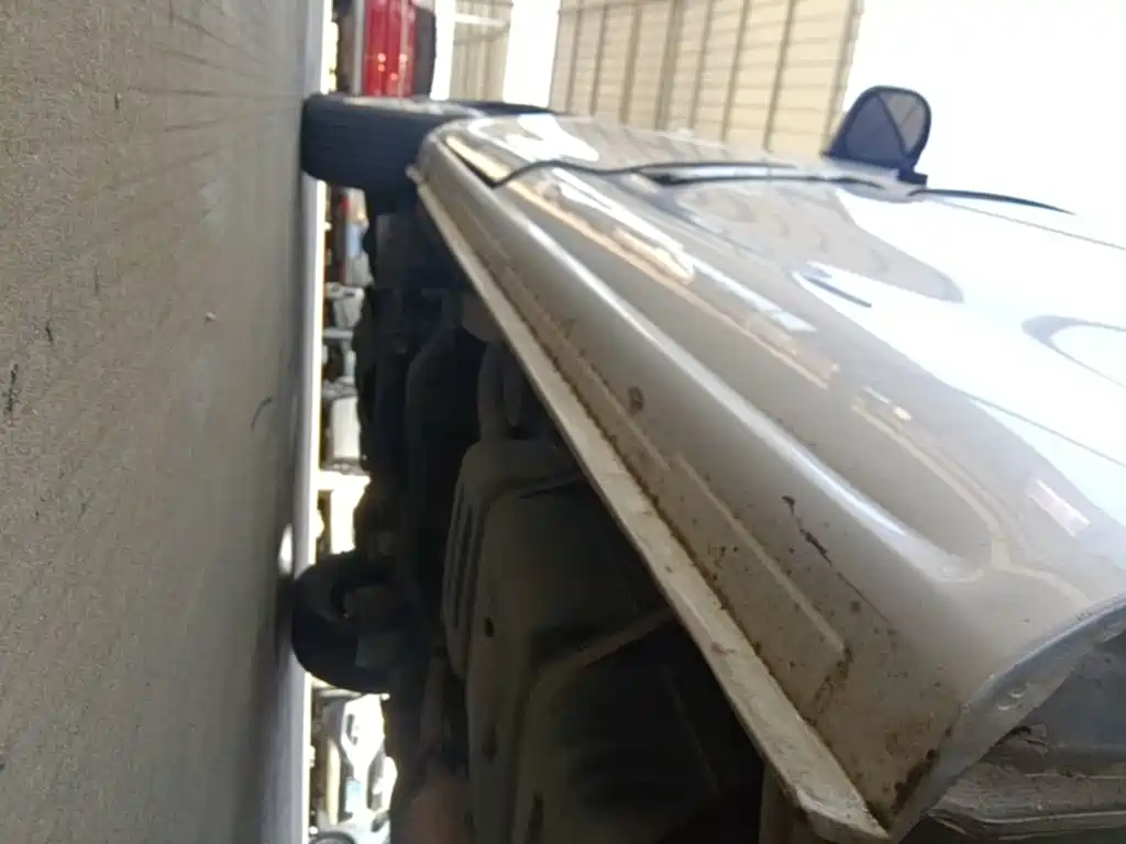 Fengxing Lingzhi — фото 22