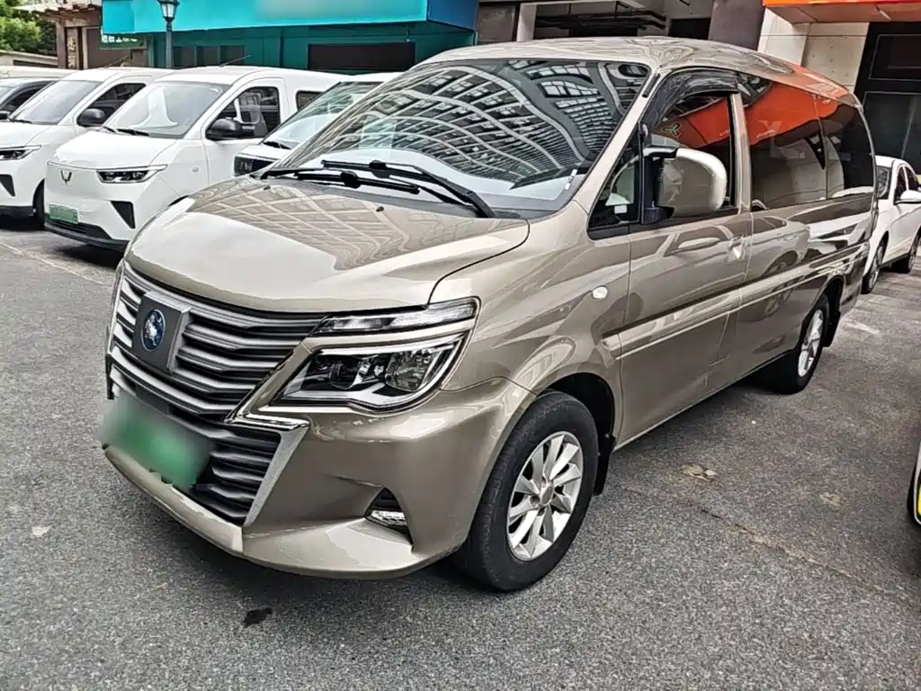 Fengxing Lingzhi New Energy