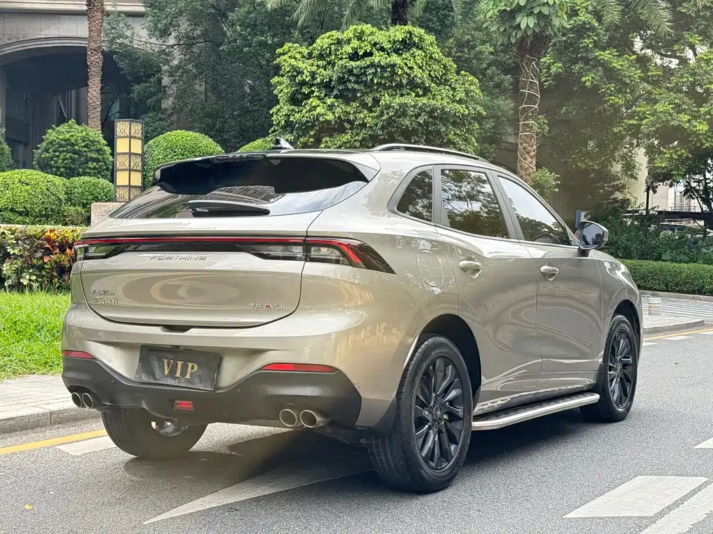 Fengxing Fengxing T5 EVO — фото 23
