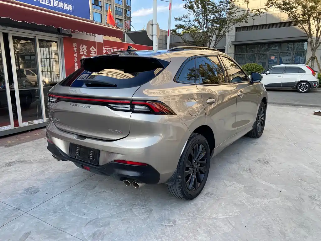 Fengxing Fengxing T5 EVO — фото 3