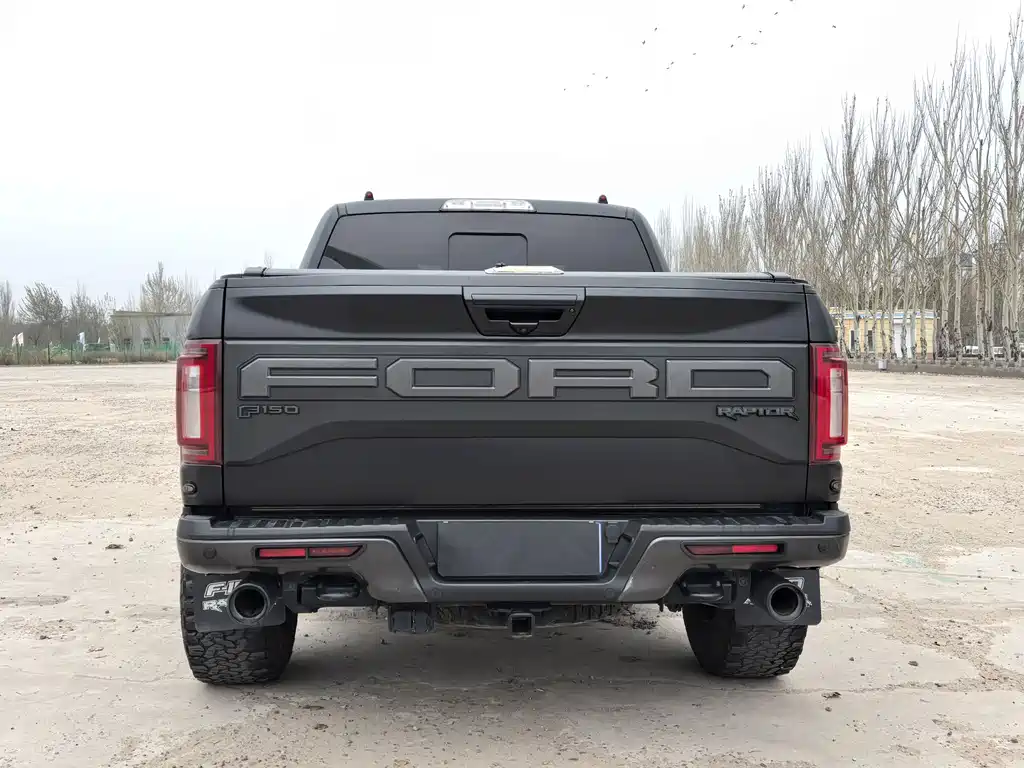 Ford F-150 Raptor — фото 6