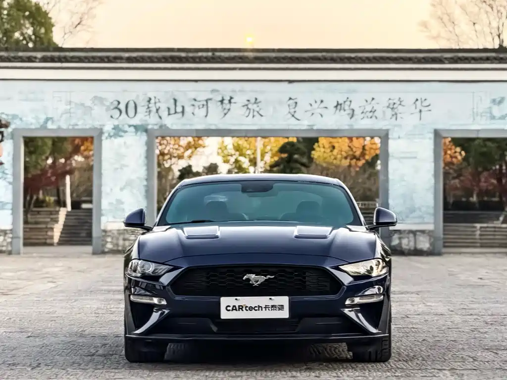 Ford Mustang — фото 2