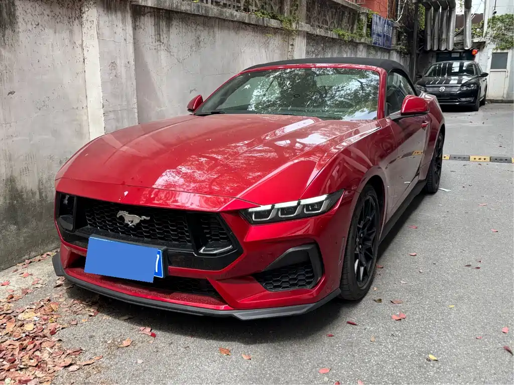 Ford Mustang — фото 19