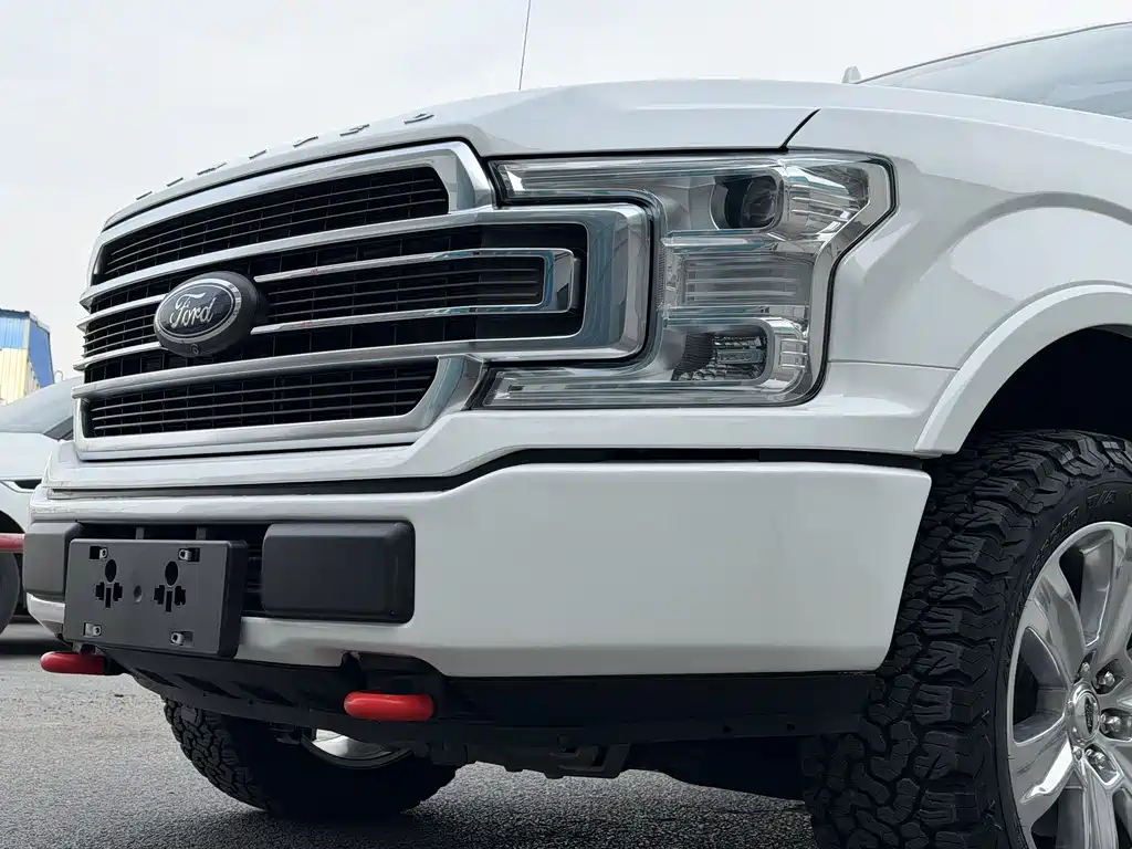 Ford F-150 Raptor — фото 19