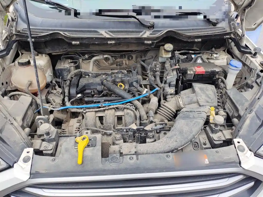 Ford Ecosport — фото 11
