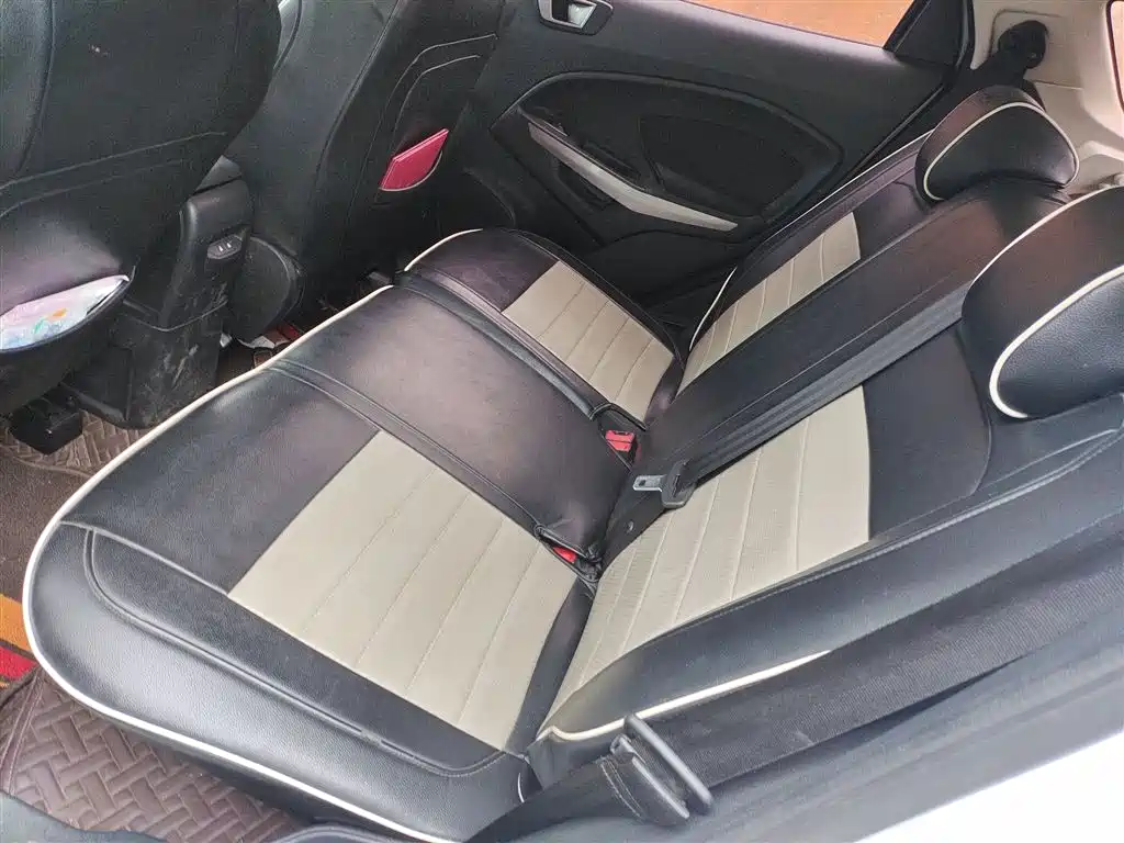 Ford Ecosport — фото 15
