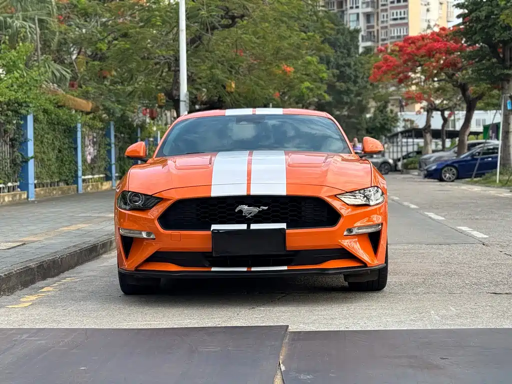 Ford Mustang — фото 2
