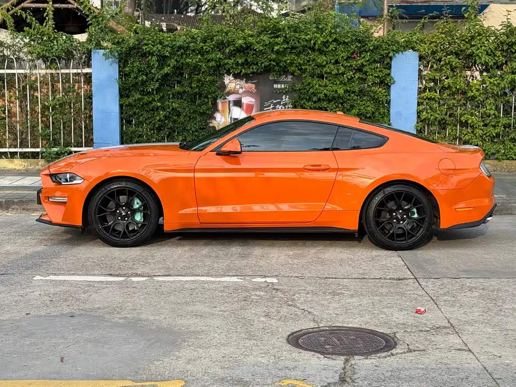 Ford Mustang — фото 19