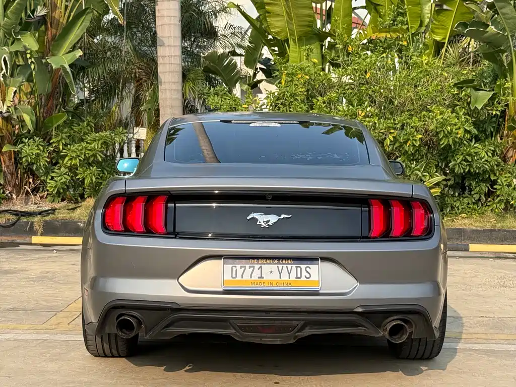 Ford Mustang — фото 14