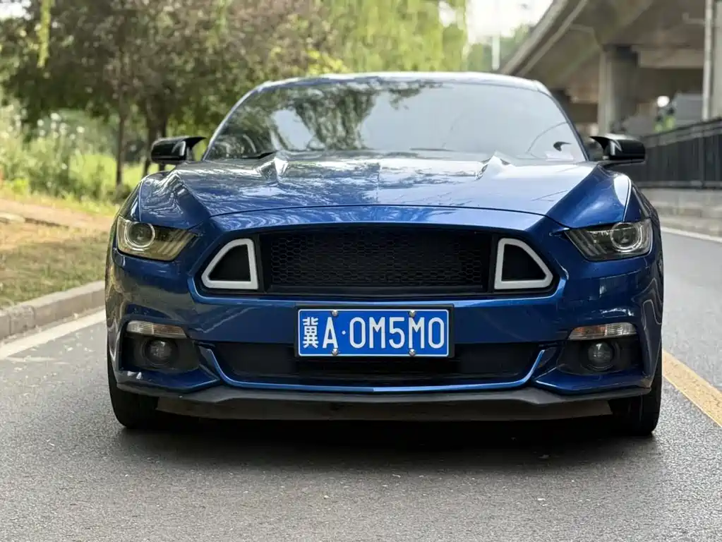 Ford Mustang — фото 2