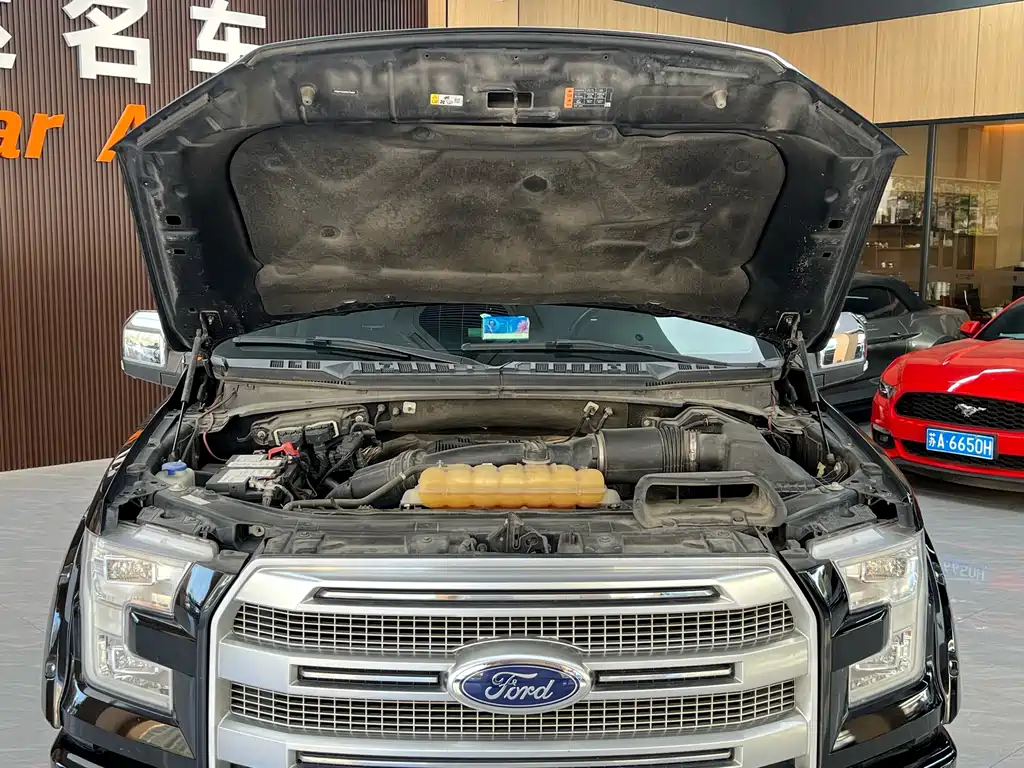 Ford F-150 Raptor — фото 29