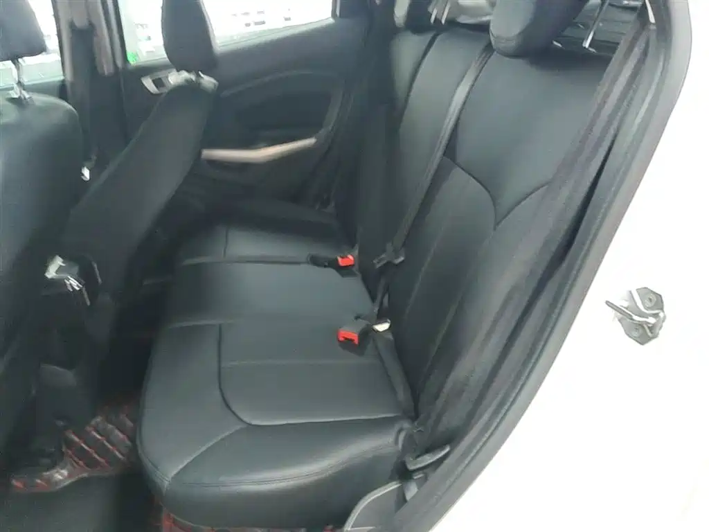 Ford Ecosport — фото 17