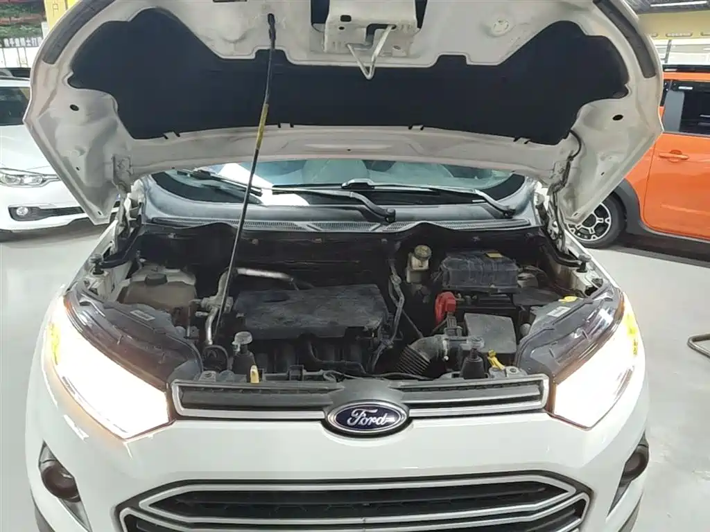 Ford Ecosport — фото 20