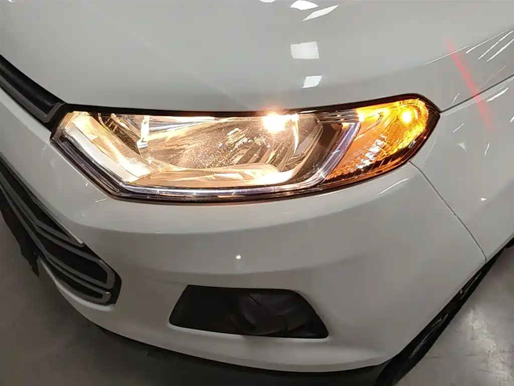 Ford Ecosport — фото 24
