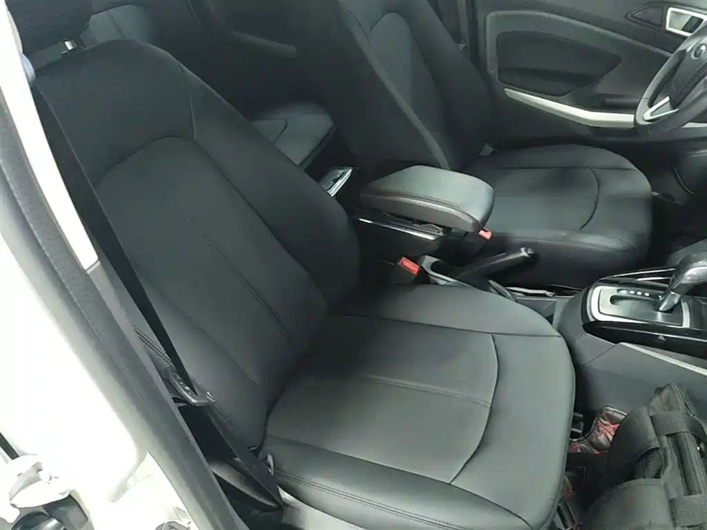 Ford Ecosport — фото 25